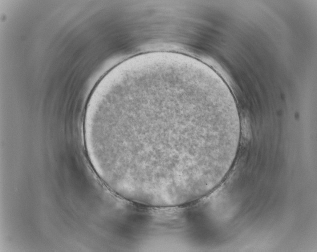 X0000071381150200607212206