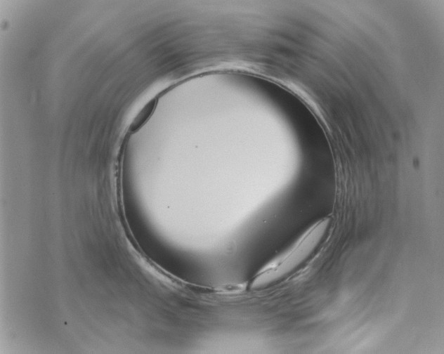 X0000071381151200607212206