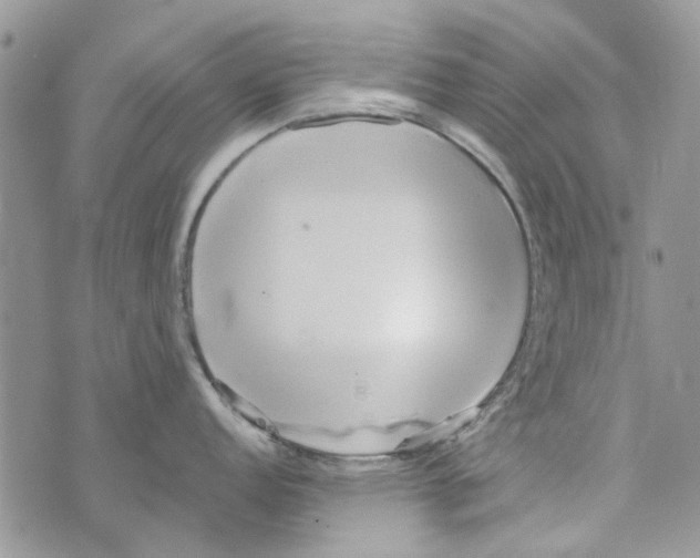 X0000071381152200607212206