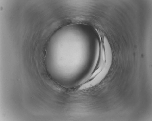 X0000071381153200607212205