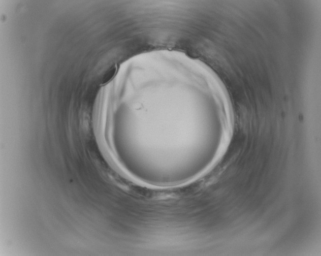 X0000071381154200607212205