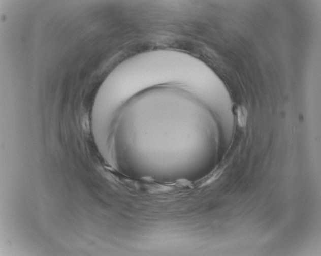 X0000071381155200607212205