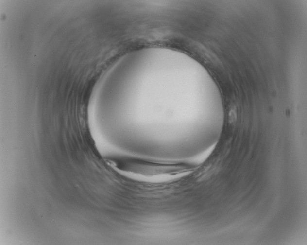 X0000071381156200607212205