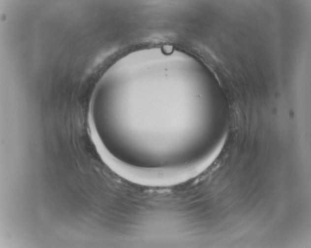 X0000071381158200607212205