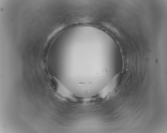 X0000071381160200607212205