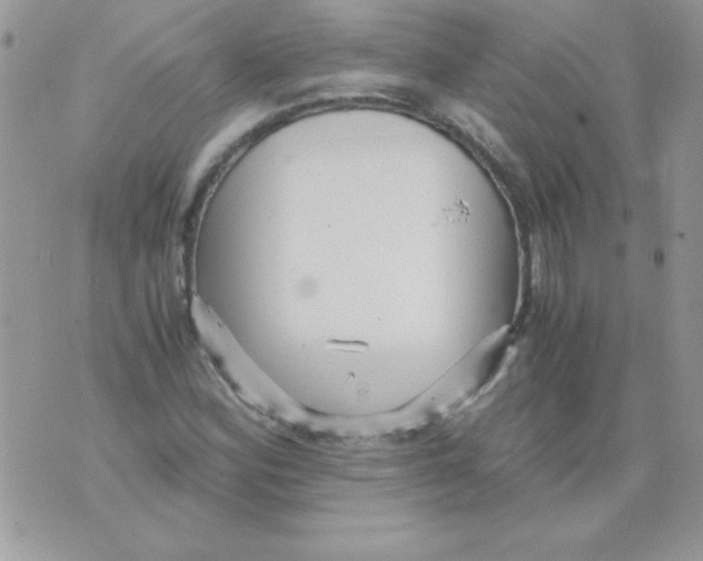 X0000071381164200607212205