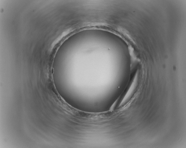 X0000071381165200607212205