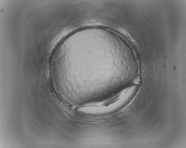 X0000071381167200607212205