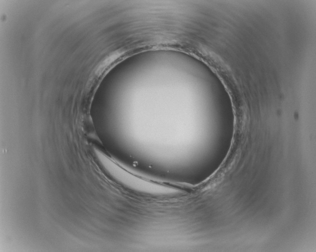 X0000071381169200607212205