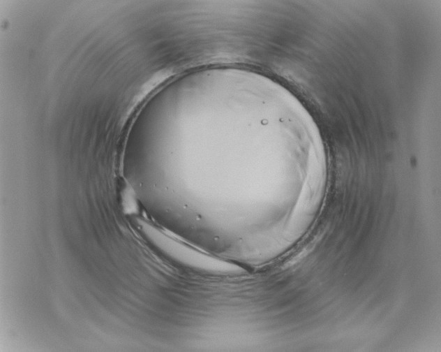 X0000071381170200607212205