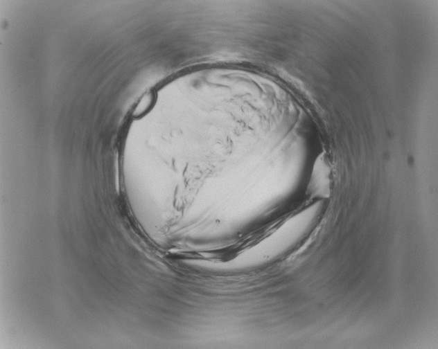 X0000071381171200607212205