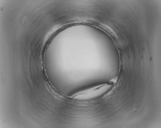 X0000071381172200607212205