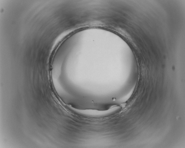 X0000071381176200607212205