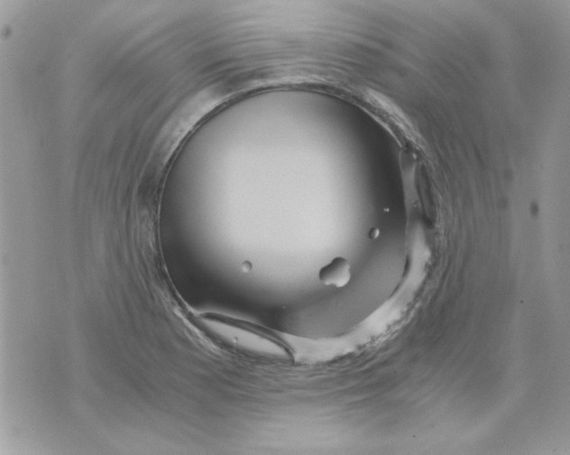 X0000071381177200607212205