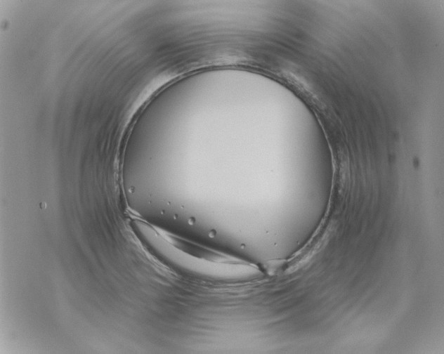 X0000071381178200607212205