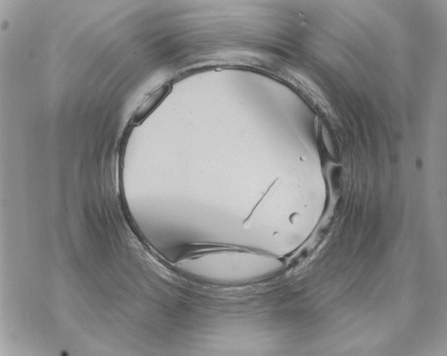 X0000071381180200607212205