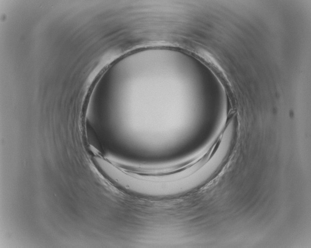 X0000071381181200607212205