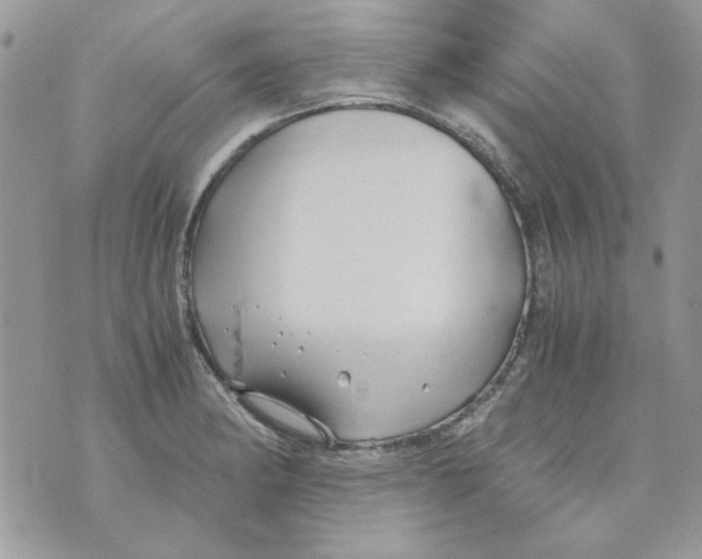 X0000071381182200607212205