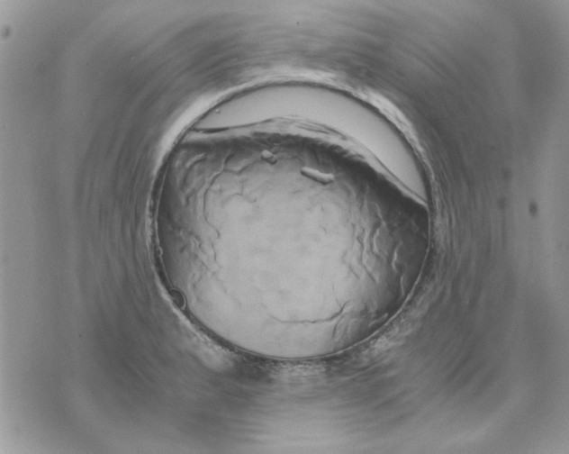 X0000071381183200607212205