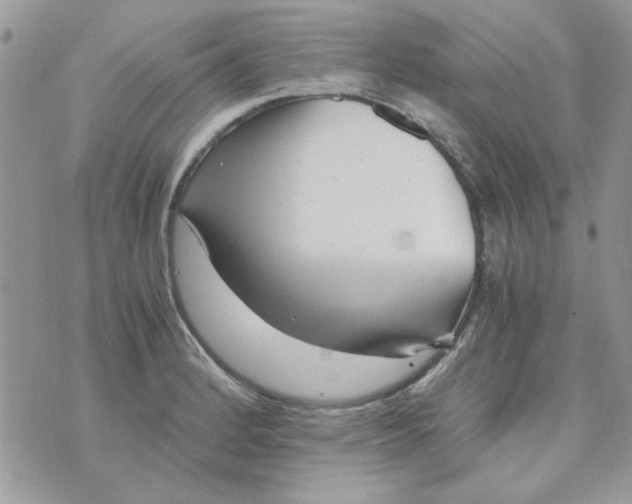 X0000071381184200607212205