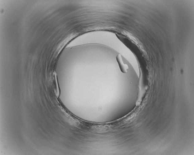 X0000071381185200607212205