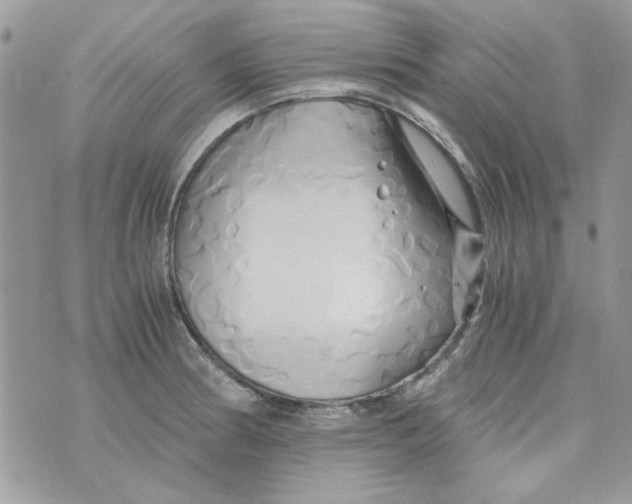 X0000071381186200607212205