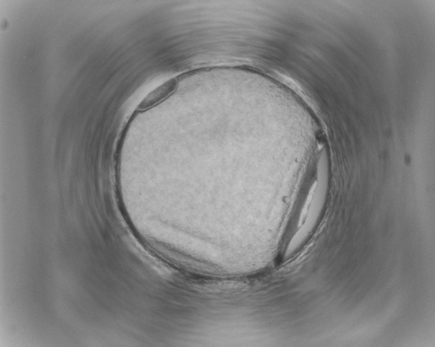 X0000071381187200607212205