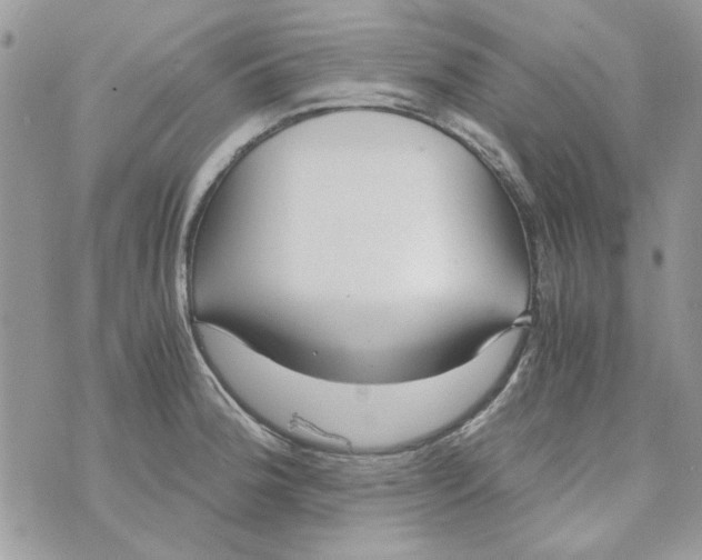 X0000071381188200607212205