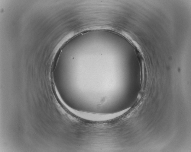 X0000071381189200607212205