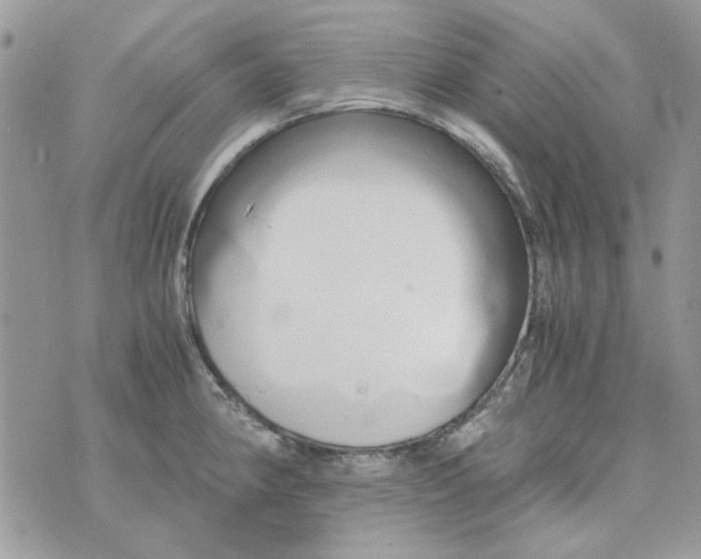 X0000071381190200607212205