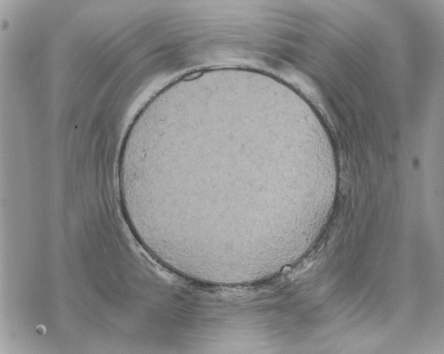 X0000071381191200607212205