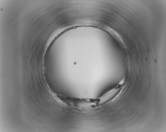 X0000071381192200607212205