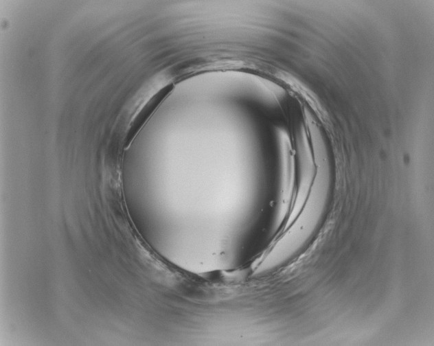 X0000071381193200607212205