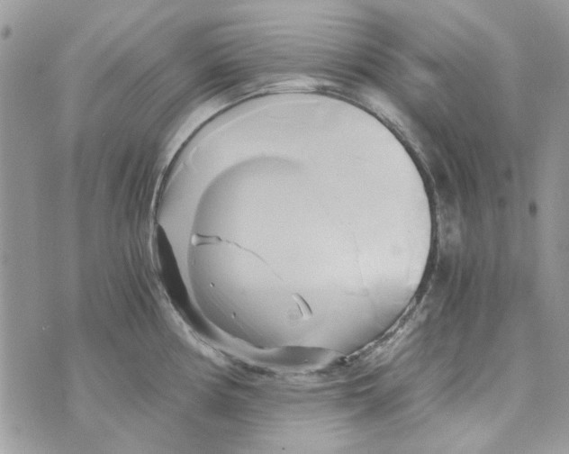 X0000071381194200607212205