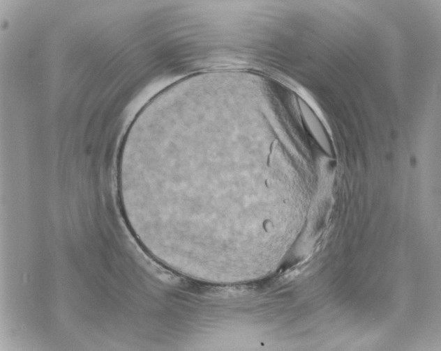 X0000071381195200607212205