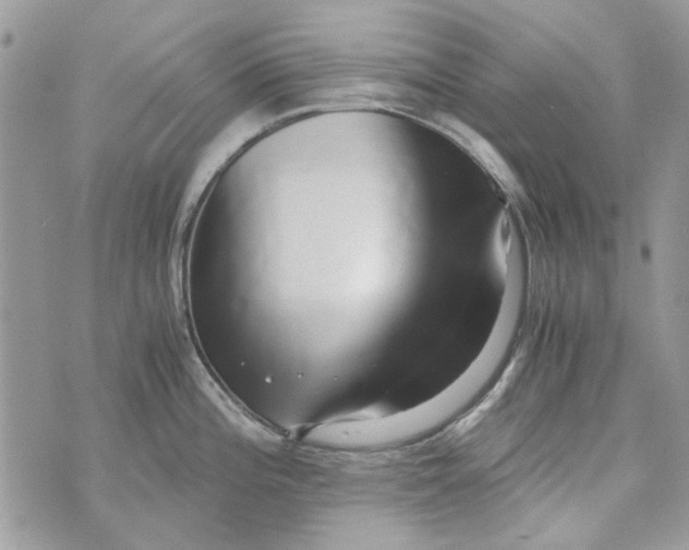 X0000071381196200607212205