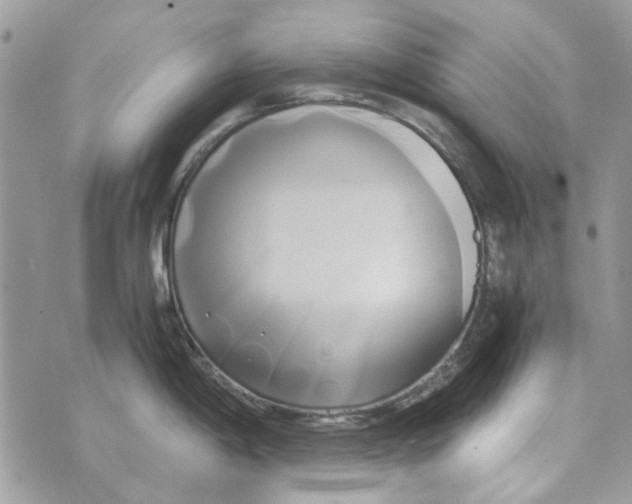 X0000071381198200607212205