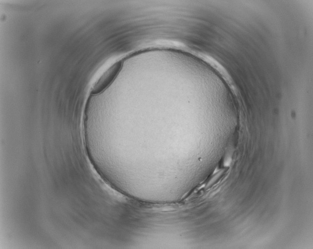 X0000071381199200607212205