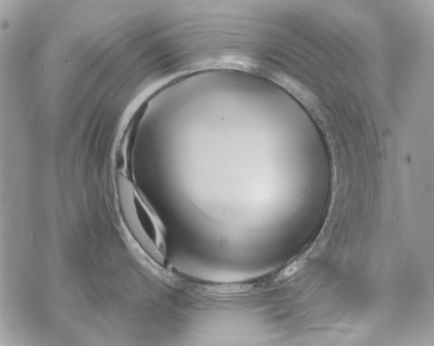 X0000071381200200607212205