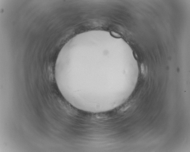 X0000071381203200607212204