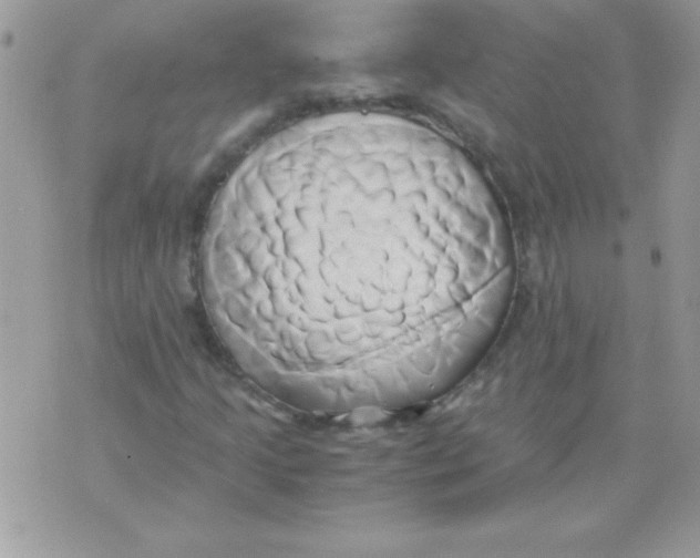 X0000071381205200607212204