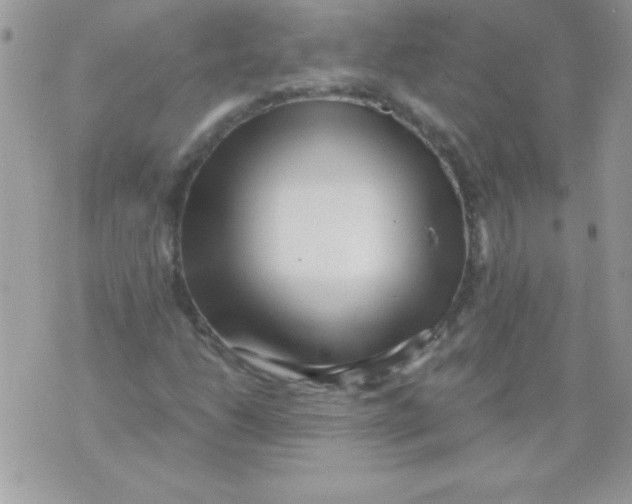 X0000071381206200607212204