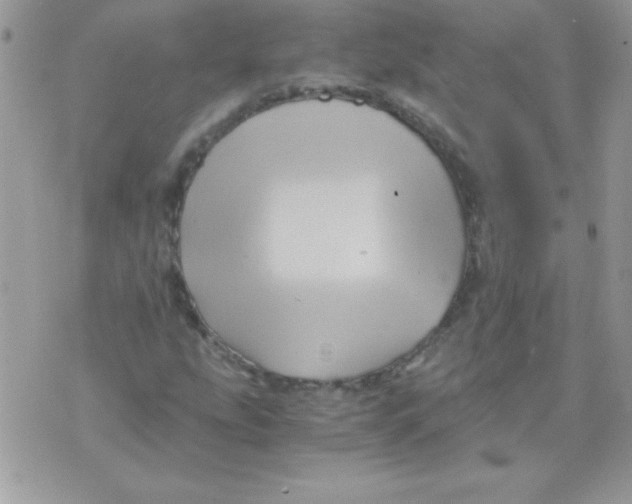 X0000071381207200607212204