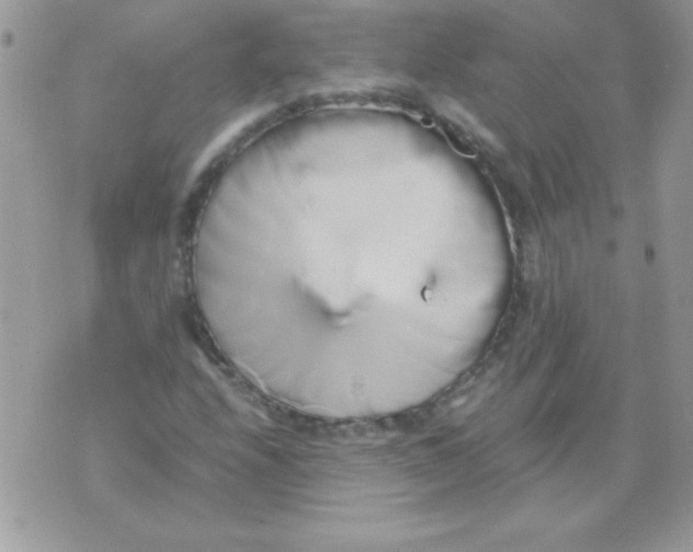 X0000071381208200607212204