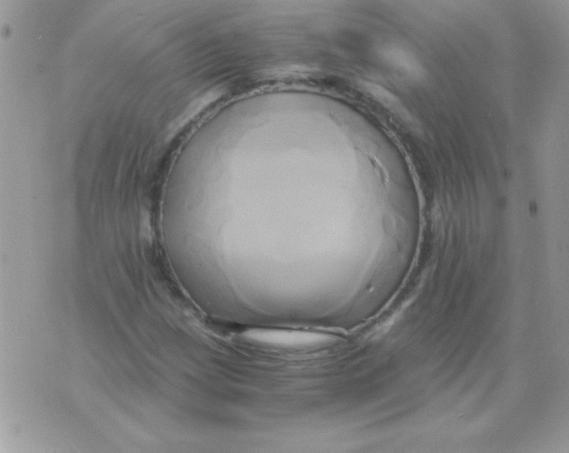 X0000071381209200607212204