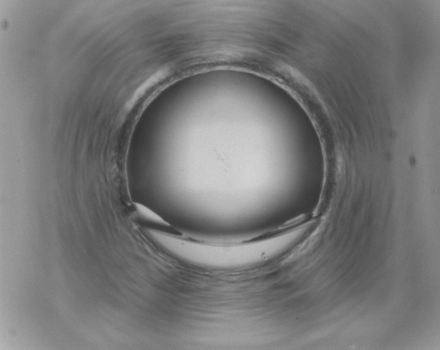 X0000071381210200607212204