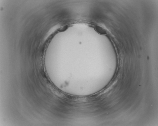 X0000071381211200607212204