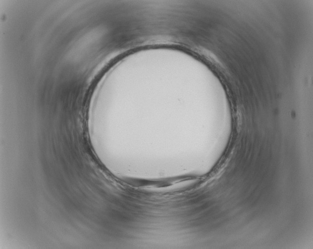 X0000071381212200607212204