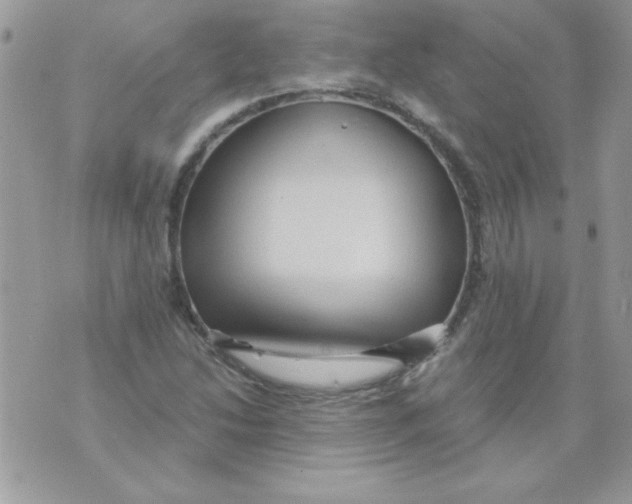 X0000071381214200607212204