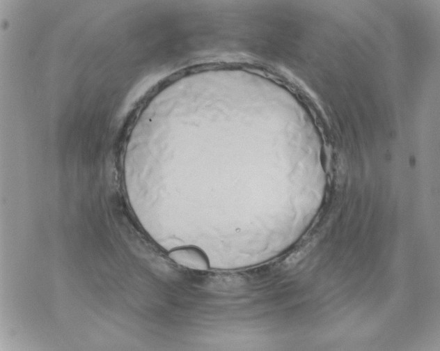 X0000071381215200607212204